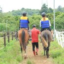 제주도 해수욕장 물놀이 포함 1박2일 신나는 여행일정 ( 동부권 중심 ) 이미지