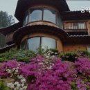 공작산비룡펜션 이미지