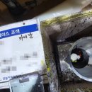 연일자동차정비공업사 이미지