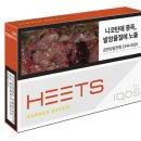 썸머브리즈 이미지