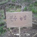 민수농장 이미지