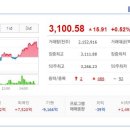 동만 2 이미지
