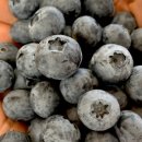 올래농장 이미지