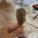 두세네몽 이미지