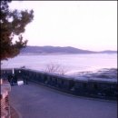 아차도민박 이미지