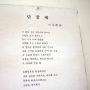 10월 15일밤 녹동항. 그리고 16일 아침 소록도 국립 요양병원 이미지