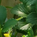 해암농장 이미지