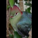 등촌역공인중개사사무소 이미지