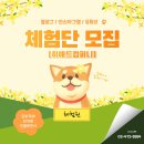 도우컴퍼니