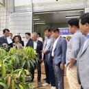 신안농수산 더코리아