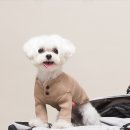 컴어스