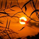 KTC 태양광발전소 이미지