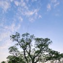 유곡농장 이미지