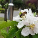 고덕IC주유소 이미지