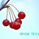 피앤씨정보통신 이미지