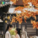 하여 | 백화살 완주 후기｜하여 때문에 시작했지만 더 깊은 여운이 남은 36부작 시대극 (결말 스포)