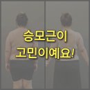 동삭동헬스장 평택여성pt 결과물보장! 봄,여름맞이 정주트레이너와 시작하세요