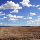 윤승농장 이미지