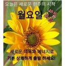 이번 한 주도 활기차게 화이팅해요!!!~💛🧡💜 이미지