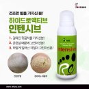 레푸스 경대점 이미지