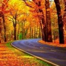 마루벌돌구이군산점 이미지