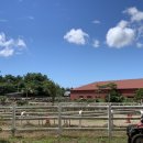 남원읍-117 이미지