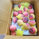 영덕싱싱농원 이미지