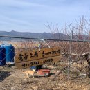 물봉도원 이미지