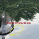 랩팩토리 랩핑 후기
