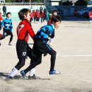 금정초등학교 Daum카페