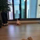 내게소중한사람들 이미지