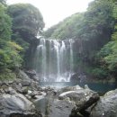 천제연폭포 이미지