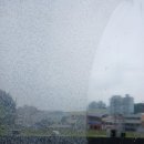 미소천사 | 군산입주청소 미소천사클린에서 24평 아파트 청소한 후기