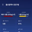 힐링하우스 에스테틱 이미지