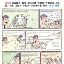 포이닉스스포츠아카데미 네이버블로그