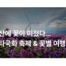 아스타코리아