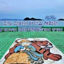 신비의바닷길 특산품 | 진도 신비의 바닷길 체험관 방문 후기! 볼거리부터 2025 축제 일정까지 총정리