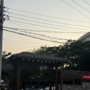 부산 해운대 소고기 오마카세 제대로 힐링하고 온 날, 스무고개 후기