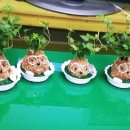 나를 찾아가는 그림책 진로테라피 이미지