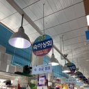 숙이상회 - 사천시 대례길 62 | 숙이상회