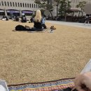 이룸스터디학원 - 수원시 장안구 만석로19번길 11-7 | 학점은행제 토익편입생의 학사편입 후기