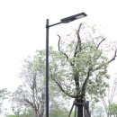 가로등 | 태양광 가로등 설치 후기 및 활용 팁