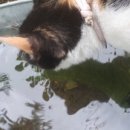 커피먹고가세 이미지