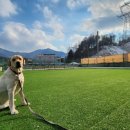 힐링그루밍 이미지