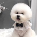 에브리 뽀송 이미지