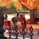 더 버틀러독 이미지