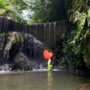 세풍농장 이미지