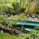 치유요가반 이미지