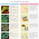 시흥365열린의원 네이버블로그