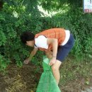 탄동천-1 이미지